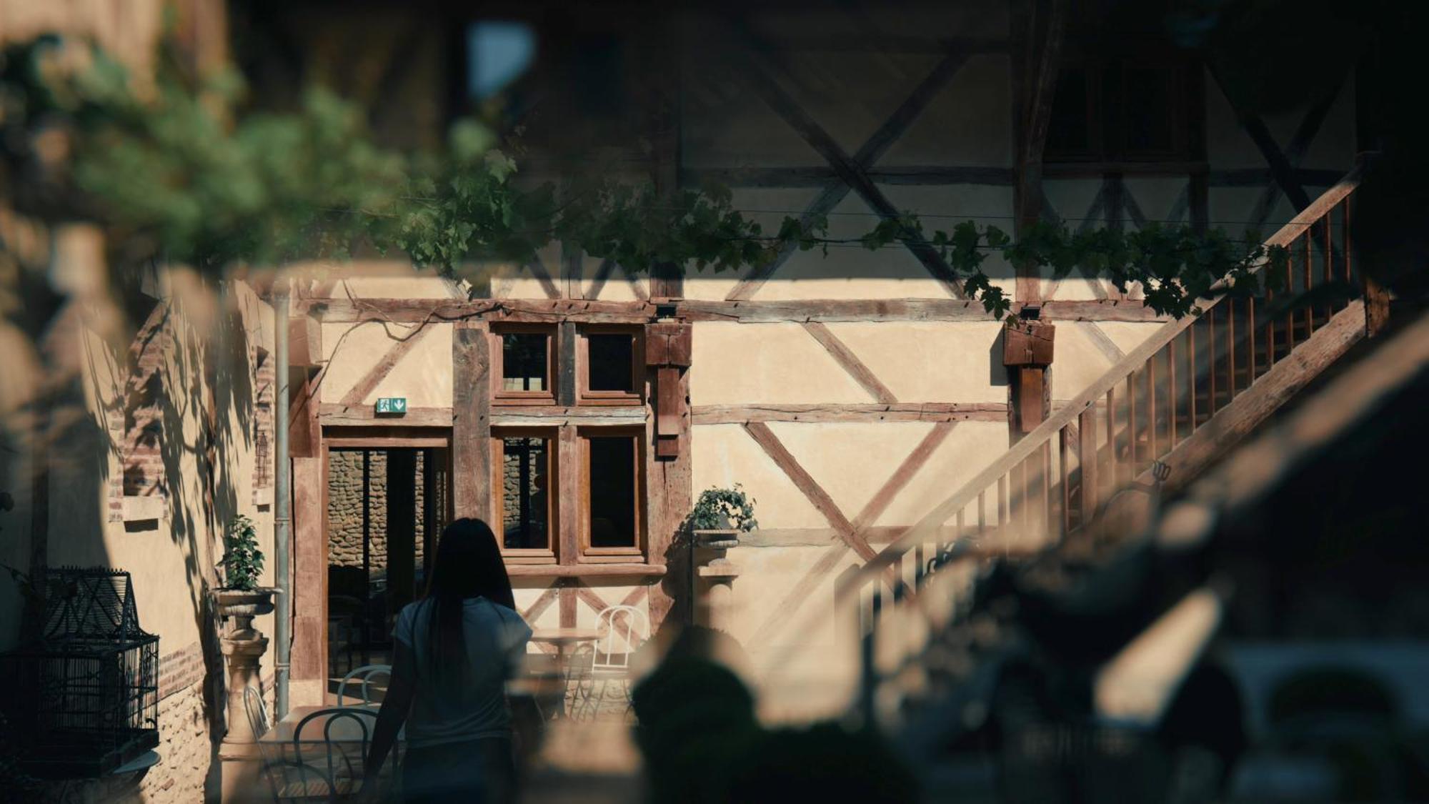 Le Champ Des Oiseaux Hotel & Spa Troyes Bagian luar foto
